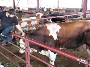 Erzincan’da Et Üreticilerine Yem Karma Makinesi Desteği