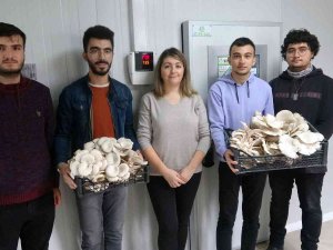 Hem Üreticilere Hem De Öğrencilere Mantar Eğitimi