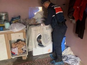 Jandarmadan 11 Adrese Eş Zamanlı ‘Kaçakçılık’ Operasyonu