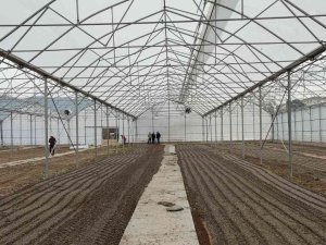 Osmaneli’nde “Sera Tesisi” Projesi Tamamlandı