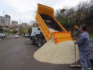 Kartal, Kar Ve Buzlanmaya Karşı Hazır