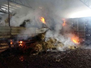 Besihanede Çıkan Yangında Binlerce Saman Balyası Yandı, Hiç Kullanılmayan Son Model Traktör Küle Döndü