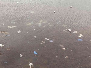 Kadıköy’ü Lodos Vurdu, Caddebostan Sahilini Plastik Atıklar Kapladı