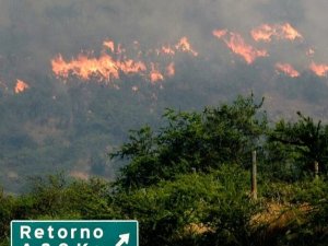 Şili’de Orman Yangını: 4 Bin Hektardan Fazla Alan Kül Oldu