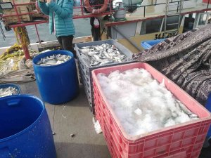 Sahil Kenarlarında Yasadışı Ticari Balık Avcılığı Yapanlara 30 Bin Tl Para Cezası Kesildi