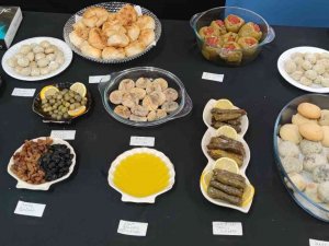 Türkiye’nin 7 Bölgesi Bingöl’de Buluştu