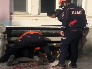 Binanın Duvarını Yıkıp Yavru Köpeği Kurtardılar