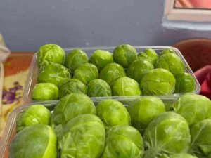 Bursa’nın İ̇znik İlçesinde Sezonda 12 Bin Ton Brüksel Lahanası İhraç Ediliyor