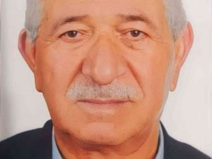 Mantar Toplamaya Giderken Kazada Yaralanan Yaşlı Adam Hayatını Kaybetti