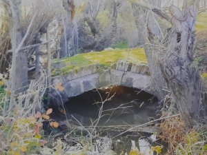 Osmanlı Eseri ’Taş Köprü’nün Durumu İçler Acısı