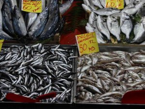 Havaların Soğumasıyla Birlikte Balığa İlgi Arttı