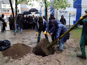 Terör Saldırısında Hayatını Kaybeden Yağmur’un Anısına Okuluna Fidan Dikildi