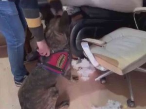 Cephane Gibi İş Yerine Jandarmadan Operasyon