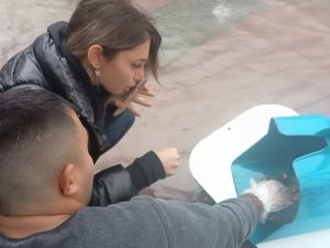 Sağanak Yağmurda Kalan Fareye Kalp Masajı Yaptı