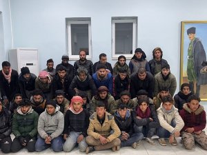 Şanlıurfa’da 88 Düzensiz Göçmen Yakalandı: 4 Gözaltı