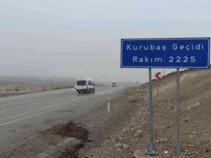 Van’ın Yüksek Kesimlerinde Sis Etkili Oldu