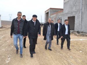 Batman’da 15 Milyonluk Hayvan Barınağı