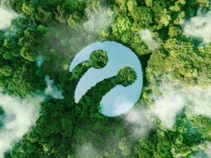 Turkcell İklim Değişikliğiyle Mücadelede Liderlik Seviyesine Yükseldi