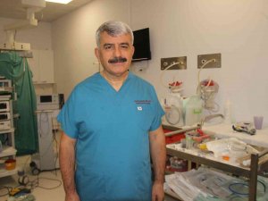 Hülagü, Cumhurbaşkanının Başdanışmanı Oldu