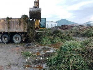 Ortaca’da Yeşil Alanlarda Bakım Çalışması