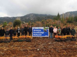 Antalya İle İ̇zmit’in “Aronya” Kardeşliği