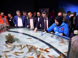 Balıkları Biberonla Beslediler