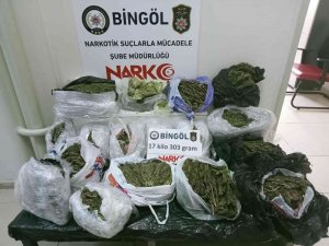 Bingöl’de Uyuşturucu Operasyonu: 17 Kilo Esrar Ele Geçirildi, 1 Kişi Tutuklandı
