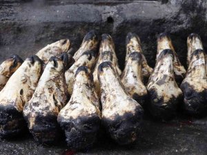 Havalar Soğudu Kelle Paçaya Talep Arttı