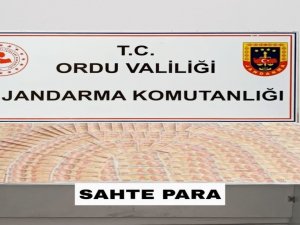 Ordu’da 181 Adet 50 Tl’lik Sahte Banknot Ele Geçirildi