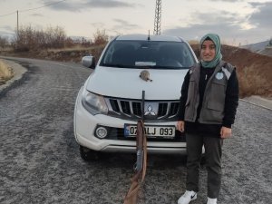 Tunceli’de Yasa Dışı Avcılık Yapan Şahsa İdari İşlem Uygulandı