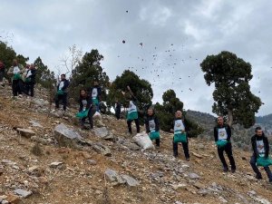 Feke’de Sedir Tohumları Toprakla Buluşuyor
