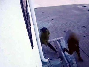 Ev Fareleri Yakalandı