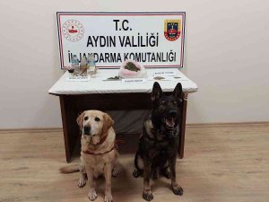 Koçarlı’da Uyuşturucu Satıcılarına Operasyon