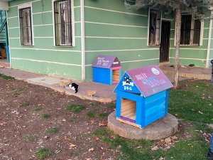 Siverek’te Sokak Hayvanları İçin Kulübeler Yapıldı