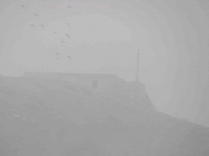 Araban’da Yoğun Sis