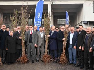 Bursa’da Kırsaldaki Çiftçilere 20 Bin Fidan Dağıtıldı