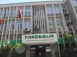 Bayraktar: "Yaşanan Küresel Ekonomik Krizi Ülkemizde En Hafif Atlatanlar Fındık Üreticileri Oldu"