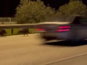 İ̇zmir’de Otomobilin Domuza Çarpma Anı Kamerada