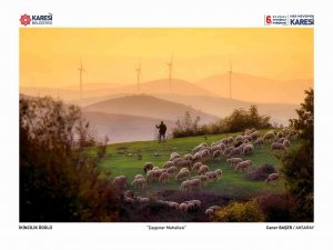 Karesi’nin En Güzel Kareleri Sergilenecek