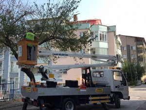 Başkan Sandıkçı: “İ̇lçemizin Her Noktasını Kapsamlı Bir Şekilde Temizliyoruz”