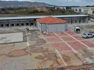 Bu Merkezde Hem Kedi Ve Köpeklerin Hem De Kuşların Yuvası Olacak