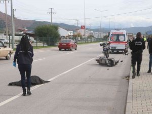 Fethiye’de Kamyon İle Motosiklet Çarpıştı: 1 Ölü, 1 Yaralı