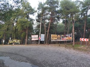 Aytepe Varyantındaki Ağaçlar Reklam Panosuna Döndü
