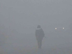 Kars’ta Sis Hayatı Olumsuz Etkiliyor