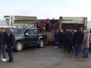 Gercüş’te Çiftçilere 35 Bin Fıstık Fidanı Dağıtıldı