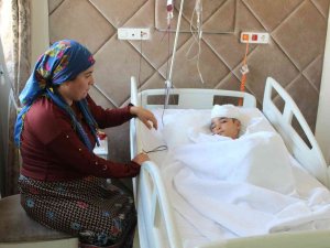 Sokak Köpeğinin Saldırısına Uğrayan 6 Yaşındaki Çocuk Ölümden Döndü