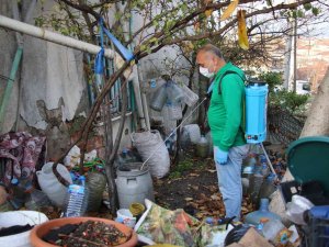 Yalova Belediyesi’nden Larva Noktalarına İlaçlama