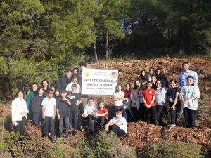 Ted İ̇zmir Koleji Öğrencileri Yüzlerce Fidanı Toprakla Buluşturdu