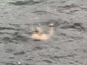 Yenikapı’da Denizden Ceset Çıkarıldı