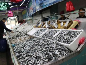 Tezgahlar Karadeniz Hamisi İle Doldu Satışlar Arttı